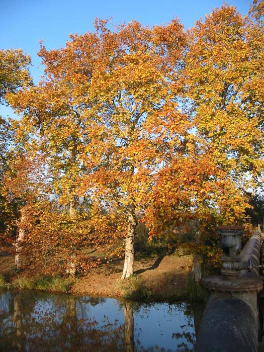 12-16