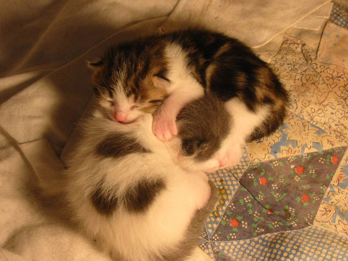 La Famille s'agrandit...