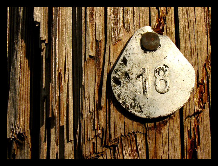 Eighteen...
